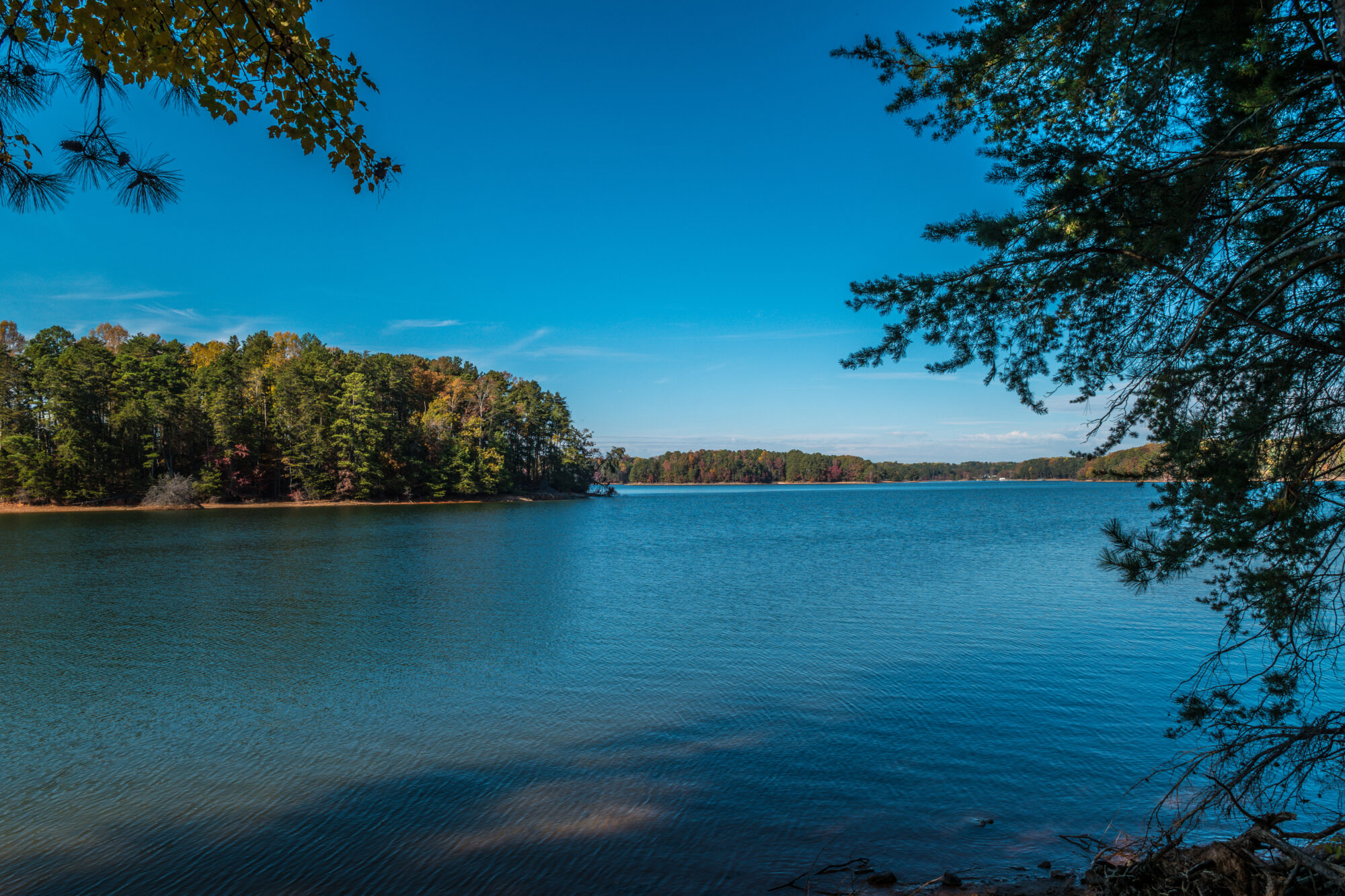 Lake Lanier